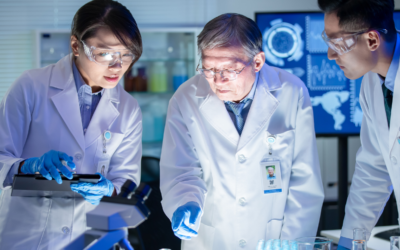 Terminology Governance in Global Healthcare Organizations: Beyond the Glossary